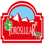 logo (1)